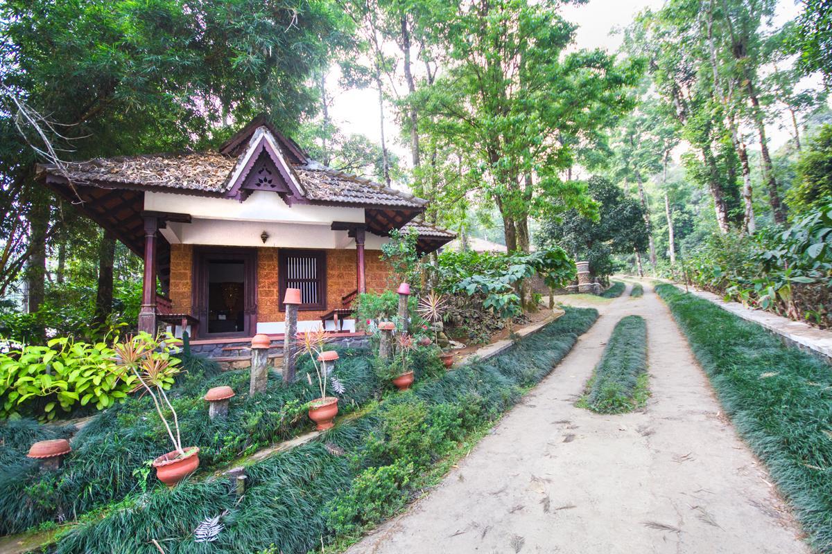 Misty Woods Resort Kakkabe Dış mekan fotoğraf