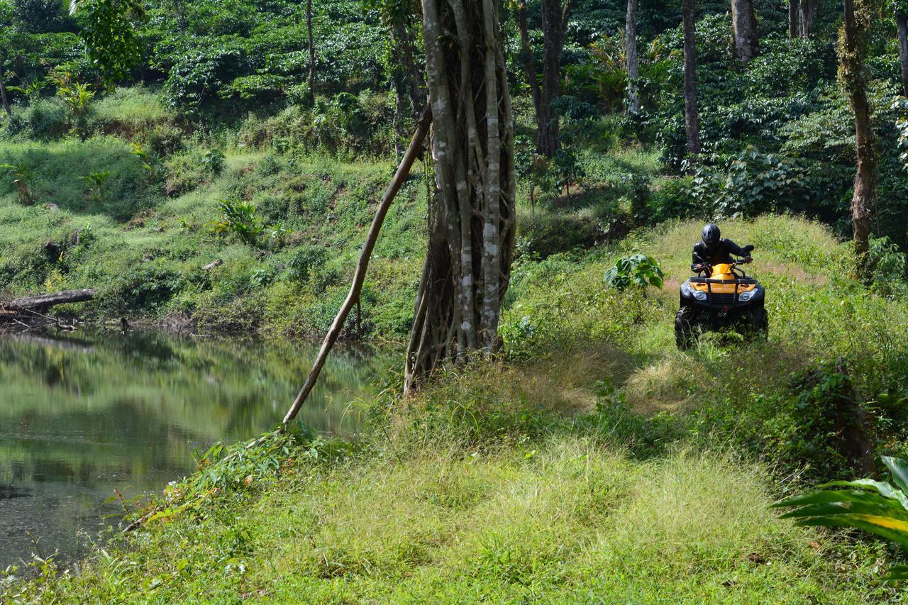 Misty Woods Resort Kakkabe Dış mekan fotoğraf